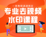 专业去视频水印教程 静态水印、动态水印、文字水印、图片水印一套教程通通搞定-鱼梓小栈