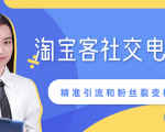 某站内部课程：淘宝客社交电商裂变，精准引流和粉丝裂变模式详解（共6节视频）-鱼梓小栈
