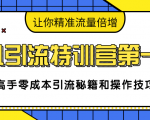 卓凡引流特训营第一期:高手零成本引流秘籍和操作技巧,让你精准流量倍增-鱼梓小栈