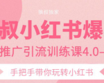 狼叔小红书爆款推广引流训练课4.0，手把手带你玩转小红书-鱼梓小栈