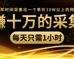 年赚十万的采集站，每天却只需要1小时，一年时间采集出一个售价10W以上的网站-鱼梓小栈
