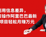 利用信息差异，零投资操作阿里巴巴最新管道项目轻松月赚10000+-鱼梓小栈