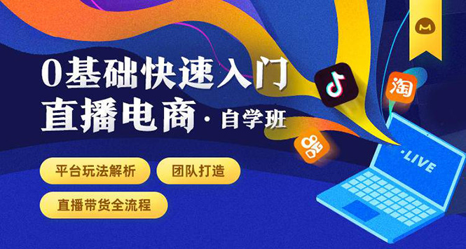 0基础快速入门直播电商课程：直播平台玩法解析-团队打造-带货全流程等环节-鱼梓小栈