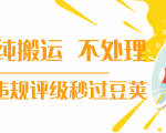 抖音纯搬运 不处理 小技巧，30秒发一个作品，避免违规评级秒过豆荚-鱼梓小栈