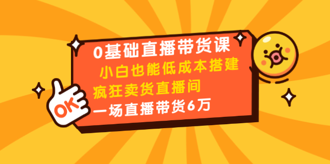0基础直播带货课：小白也能低成本搭建疯狂卖货直播间：1场直播带货6万-鱼梓小栈