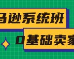 亚马逊系统班,专为0基础卖家量身打造,亚马逊运营流程与架构-鱼梓小栈