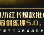 小红书爆款推广引流训练课5.0,手把手带你玩转小红书(17节实操视频+话术)-鱼梓小栈