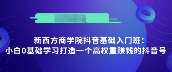 抖音基础入门班：小白0基础学习打造一个高权重赚钱的抖音号-鱼梓小栈