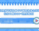 视频号新机制与不刷赞撸养生茶玩法,轻松日赚1000+-鱼梓小栈