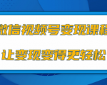 微信视频号变现项目,0粉丝冷启动项目和十三种变现方式-鱼梓小栈