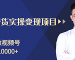 柚子分享课：微信视频号变现攻略，新手零基础轻松日赚千元-鱼梓小栈