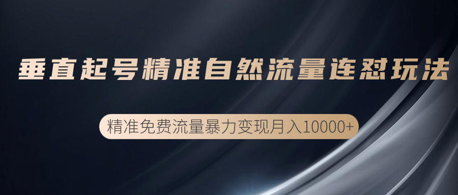 垂直起号精准自然流量连爆玩法，精准引流暴力变现月入10000+-鱼梓小栈