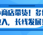 微信小商店带货，爆单多倍收入，长期复利循环！日赚300-800元不等-鱼梓小栈
