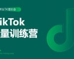 2020最新TikTok流量增长训练营（完结）附PPT-鱼梓小栈