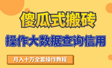 搬砖操作大数据查询信用项目赚钱教程，祝你快速月入6万-鱼梓小栈