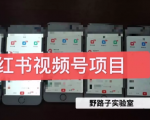 野路子小红书视频号1.0项目，直接上手操作就能赚钱的视频号项目-鱼梓小栈