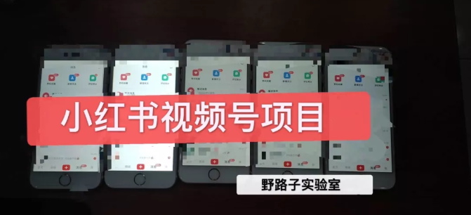 野路子小红书视频号1.0项目，直接上手操作就能赚钱的视频号项目-鱼梓小栈