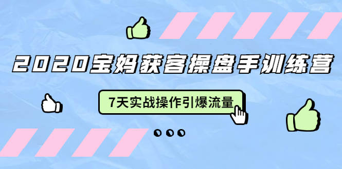 2020宝妈获客操盘手训练营：7天实战操作引爆 母婴、都市、购物宝妈流量-鱼梓小栈