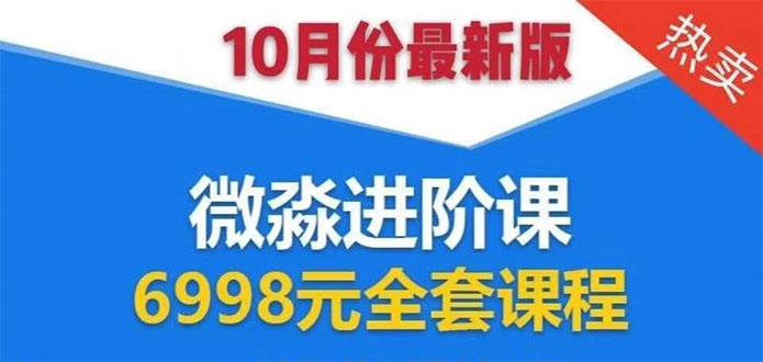 微淼理财进阶课全套视频：助你早点实现财务自由，理论学习+案例分析+实操-鱼梓小栈
