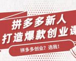拼多多新人打造爆款创业课：快速引流持续出单，适用于所有新人-鱼梓小栈