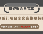 暴利偏门项目全套合集视频教程:你要的日赚1000+月入几万+项目都有-鱼梓小栈