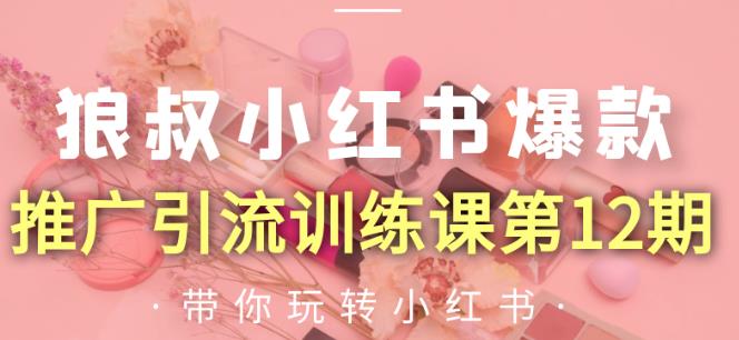 狼叔小红书爆款推广引流训练课第12期，手把手带你玩转小红书-鱼梓小栈