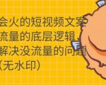 只说话就会火的短视频文案课，从根本上解决没流量的问题-鱼梓小栈