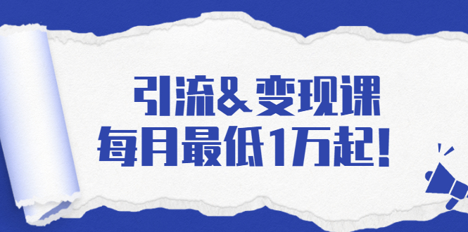 引流&变现课：分享一整套流量方法以及各个渠道收入，每月最低1万起！-鱼梓小栈