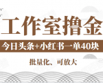 工作室撸金二件套：撸今日头条原创收益+小红书一单利润40块项目-鱼梓小栈