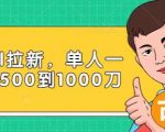 Paypal拉新赚美刀项目,单人一天利润500-1000刀【视频课程】-鱼梓小栈