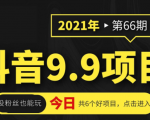 抖音9.9课程项目，没粉丝也能卖课，一天300+粉易变现-鱼梓小栈