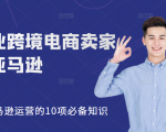 职业跨境电商卖家聊亚马逊:亚马逊运营的10项必备知识,12堂课让你看懂亚马逊运营-鱼梓小栈
