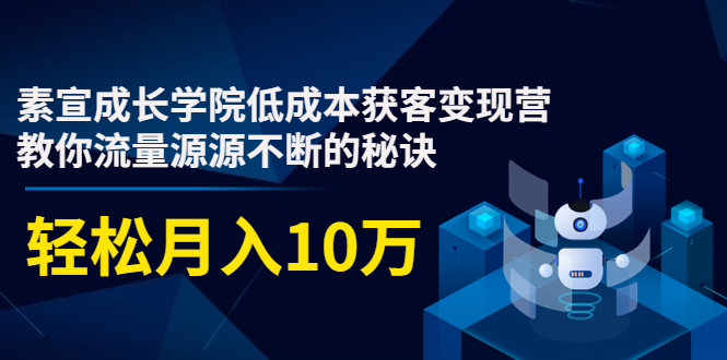 素宣成长学院低成本获客变现营，教你流量源源不断的秘诀，轻松月入10万-鱼梓小栈