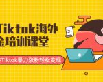 最新Tiktok海外掘金培训课堂：带你玩转Tiktok暴力涨粉轻松变现-鱼梓小栈