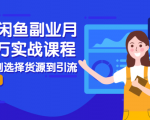 2021闲鱼副业月入过万实战课程：从开店到选择货源到引流，全程实战教学-鱼梓小栈