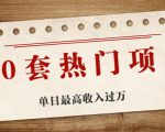 30套热门项目：单日最高收入过万 (网赚项目、朋友圈、涨粉套路、抖音、快手)等-鱼梓小栈