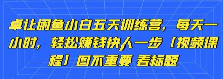 卓让闲鱼小白五天训练营，每天一小时，轻松赚钱快人一步-鱼梓小栈