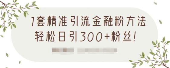 1套精准引流金融粉方法，轻松日引300+粉丝-鱼梓小栈