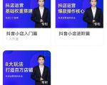 湛北·抖音小店入门进阶高阶合集，八大玩法打造百万店铺-鱼梓小栈