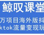 鲸叹号·海外TIKTOK训练营，百万项目海外版抖音tiktok流量变现玩法-鱼梓小栈