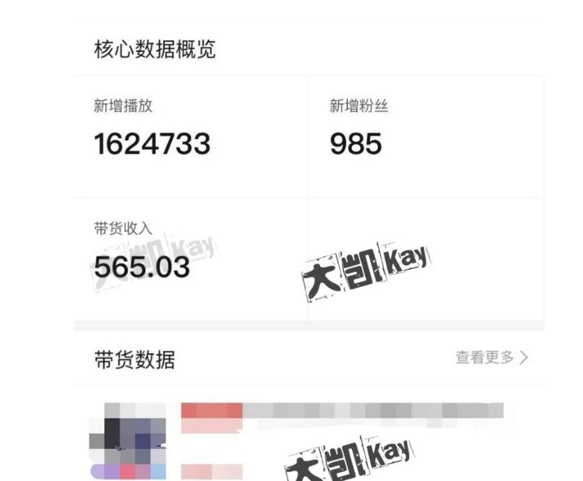 大凯进阶圈新玩法之拼多多视频玩法，利润大概一个号一天能有500~1500的左右!-鱼梓小栈