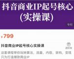 抖音商业IP起号核心实操课,带你玩转算法,流量,内容,架构,变现-鱼梓小栈