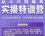 Seven漆·2022Tiktok从小白到精英实操特训营，带你掌握Tiktok账号运营-鱼梓小栈