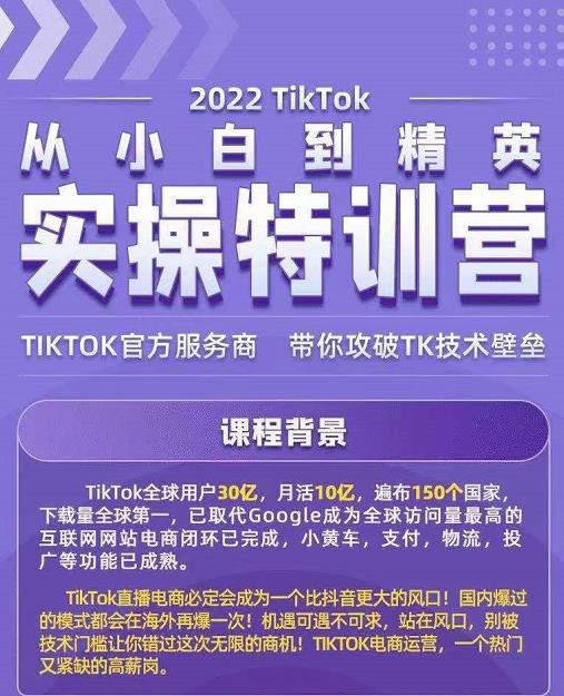 Seven漆·2022Tiktok从小白到精英实操特训营，带你掌握Tiktok账号运营-鱼梓小栈