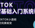 Tiktok实操进阶课程,体验从tiktok小透明到大佬的完美蜕变-鱼梓小栈