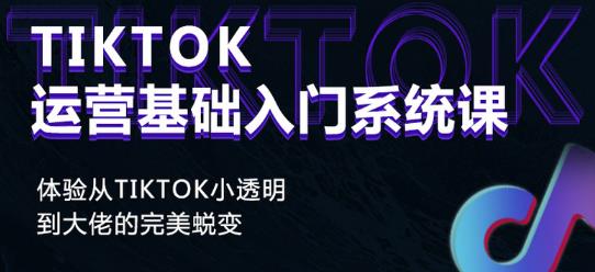 Tiktok实操进阶课程，体验从tiktok小透明到大佬的完美蜕变-鱼梓小栈