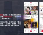 麦子互娱短视频带货·0基础做好物分享账号，无需出镜无需货源无需拍摄-鱼梓小栈