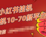 视频号小红书抖音挂机项目，小白无脑操作，按照要求来，单号每天几十米-鱼梓小栈