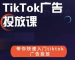 跨境B哥tiktok广告投放课，带你快速入门tiktok广告投放价值1680元-鱼梓小栈