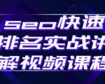 seo快速排名实战讲解视频课程，揭秘seo快排原理-鱼梓小栈
